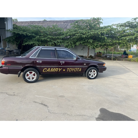 Camry cổ cỏ